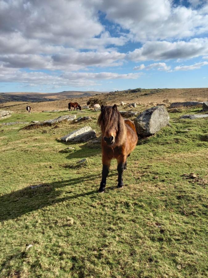 Dartmoor Inn Princetown Dış mekan fotoğraf